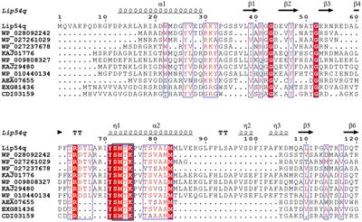Characterization of a novel thermostable alkaline lipase derived from a compost metagenomic library and its potential application in the detergent industry